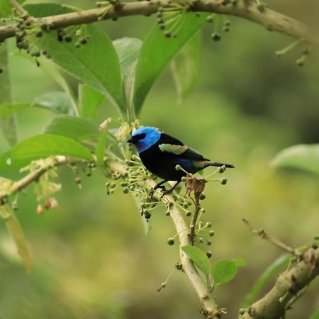 Finca Jardin Del Agua Villa ซาไซมา ภายนอก รูปภาพ