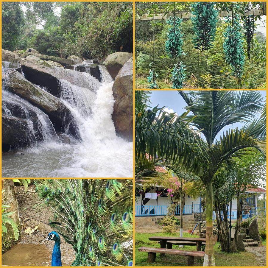 Finca Jardin Del Agua Villa ซาไซมา ภายนอก รูปภาพ