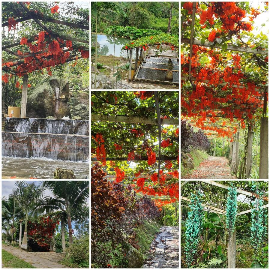 Finca Jardin Del Agua Villa ซาไซมา ภายนอก รูปภาพ