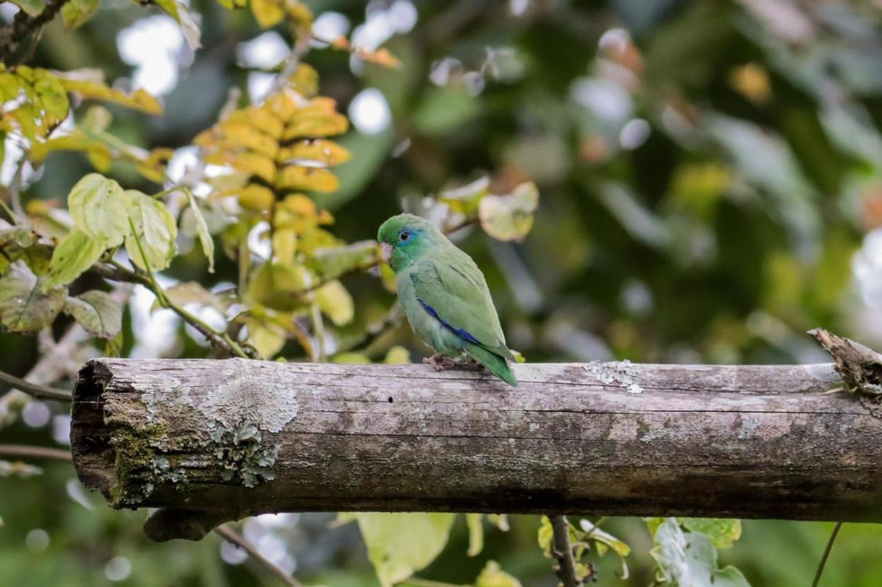 Finca Jardin Del Agua Villa ซาไซมา ภายนอก รูปภาพ