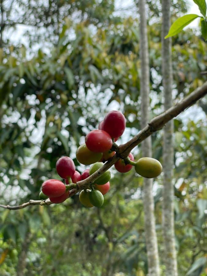 Finca Jardin Del Agua Villa ซาไซมา ภายนอก รูปภาพ