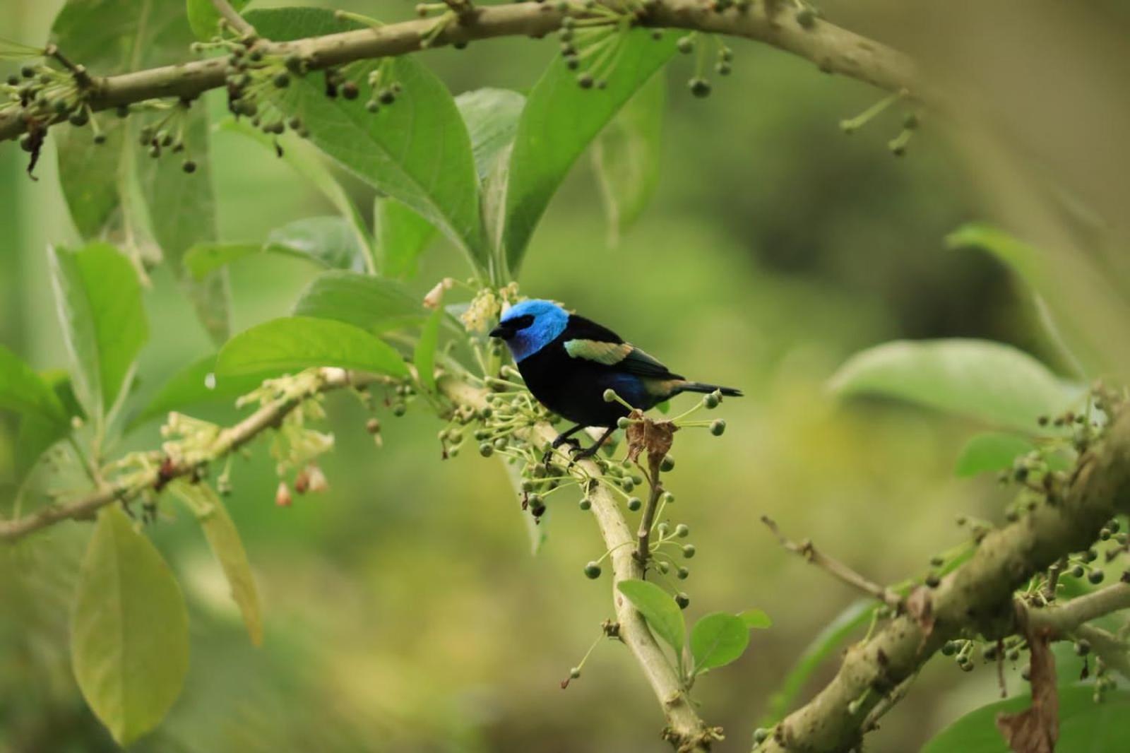 Finca Jardin Del Agua Villa ซาไซมา ภายนอก รูปภาพ