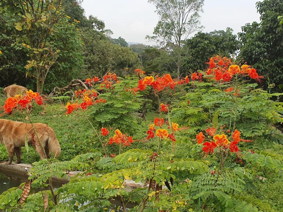 Finca Jardin Del Agua Villa ซาไซมา ภายนอก รูปภาพ